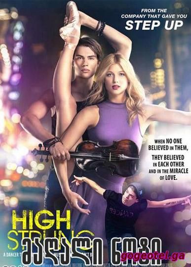 მაღალი ნოტი / High Strung (ქართულად) (2016/GEO/HDRip) ONLINE